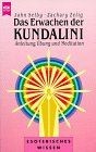 Das Erwachen der Kundalini. Anleitung, Übung und Meditat... | Buch | Zustand gut
