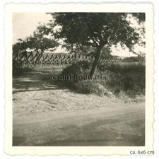 Orig foto westwall - orig.,