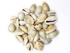 Bulk Großhandel geschnittene