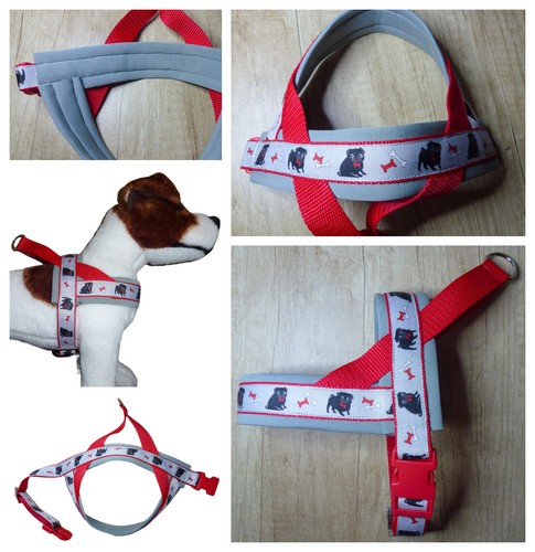 Hundehalsband - 🐾,