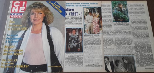Falcon crest - falcon,
