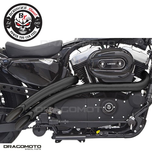 Harley 1200 abs - xl, xs