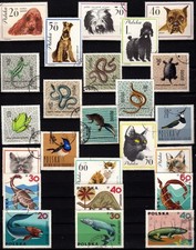 Tiere / Hunden, Katzen, Reptilien, Dinosauer / eine Albumseite