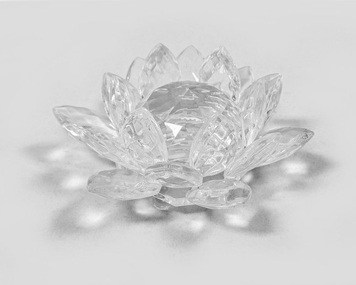 Seerose glas dekoglas - seerose,