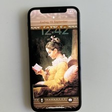 iPhone XS 64GB Space Grau Teil-Defekt