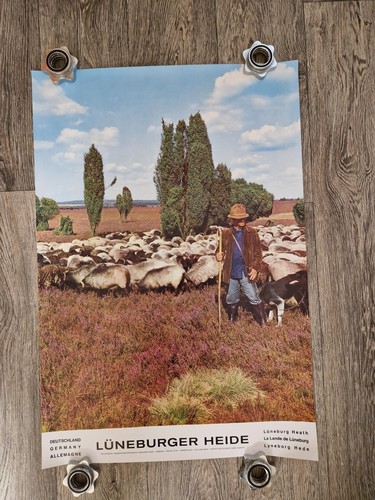 Lüneburger heide plakat - heide,