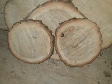 2x Baumscheibe 30-35cm Eiche