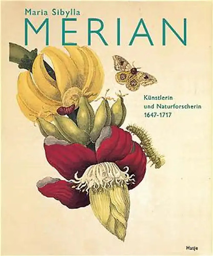 Maria sibylla merian - sibylla,