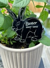Haustier Gedenktafel Hase