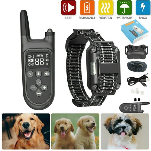 Elektroschock pet dog training - pet,