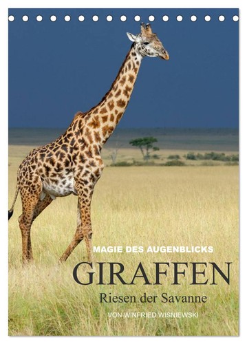 Magie des augenblicks - magie,