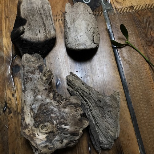 Treibholz schwemmholz holz ast - treibholz,