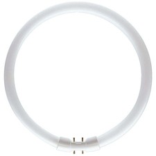 Philips Master Leuchtstofflampe TL5 60W/840 2GX13 Circular Neutralweiß 4000K