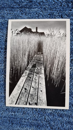 Schwarzes haus 1964 - ak,