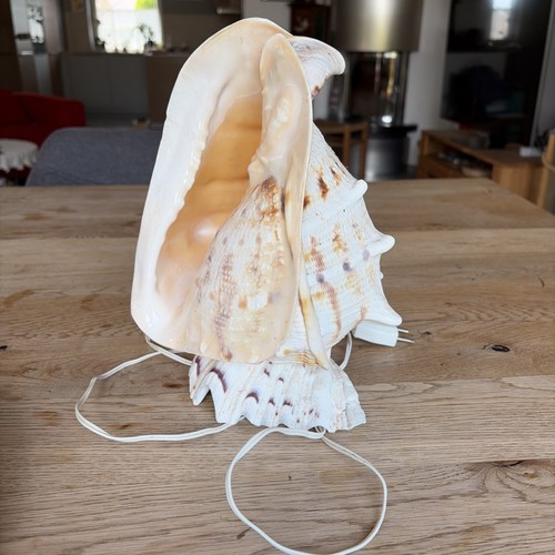Vintage tischlampe muschel - vintage,