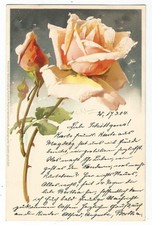 Rose, Litho-Ak signiert C