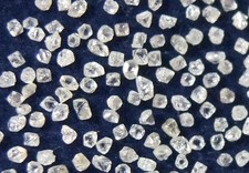 Winziger natürlicher loser