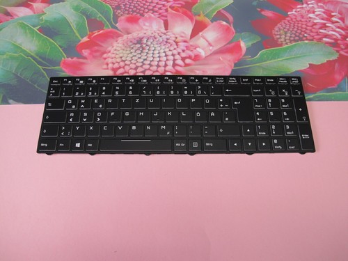 Original tastatur clevo - original,