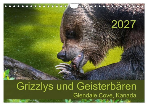 Grizzlys und geisterbären - grizzlys,