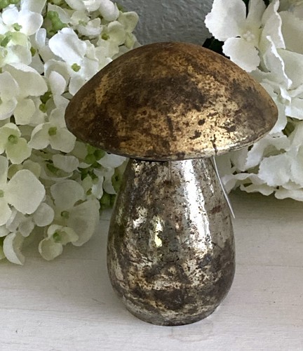 Shabby pilz glas - pilz,