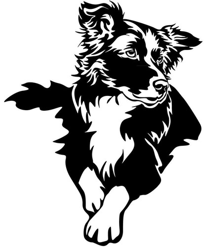 Border collie aufkleber - aufkleber,