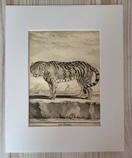 1767 Lithographie Kunstdruck