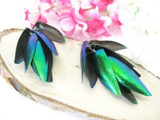 Mehrere Flügel eines echten