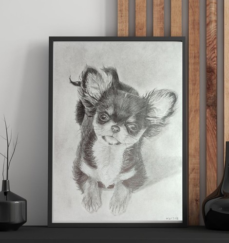 Hunde bleistiftzeichnung - hunde,