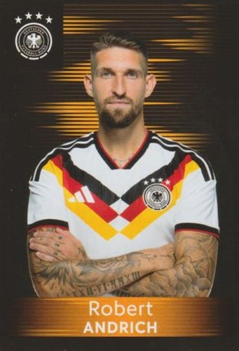 Panini family ferrero dfb - family,