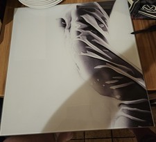 Akt, Erotik Bild  50 cm X 50