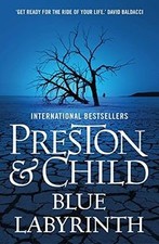 Blue Labyrinth: Pendergast Series, Book 14 von Preston, ... | Buch | Zustand gut
