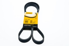 Keilrippenriemen CONTITECH