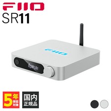 FIIO SR11 Silber Netzwerk