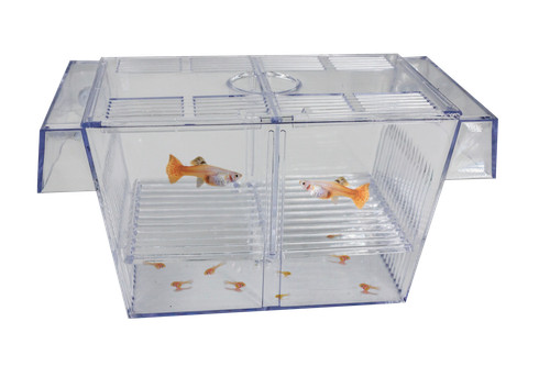 Superfish schwimmendes - superfish,
