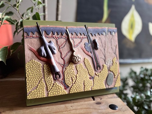Vintage somso anatomisches - vintage,