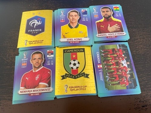 Panini world cup qatar - cup,