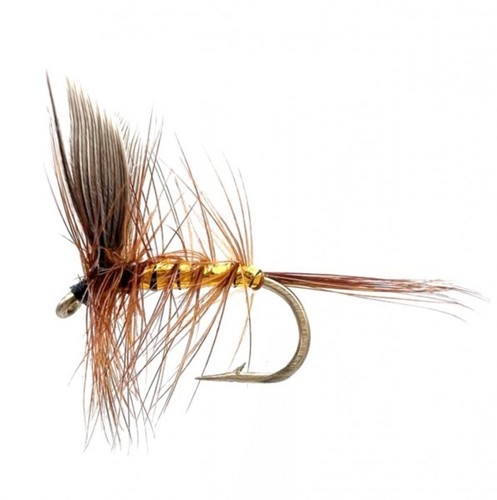Wickhams fancy - 3x,