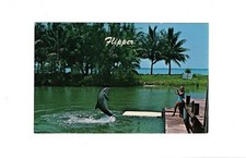 AK Ansichtskarte Flipper /