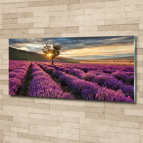 Glas bild wandbilder druck - wandbilder,
