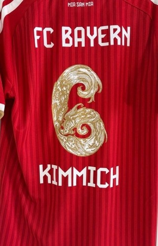 Bayern trikot mit hongkong - fc,