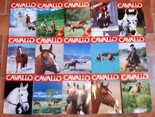 PFERD MAGAZIN - LOT 15