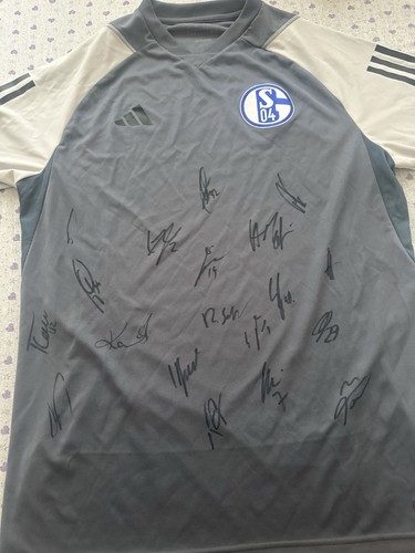 Schalke gelsenkirchen - schalke,