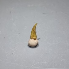 Fossilien DINOSAURIER Hand