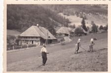 Foto - bei Todtnau -