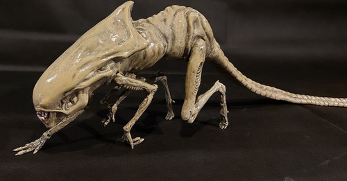 Aliens queen chestburster - aliens,