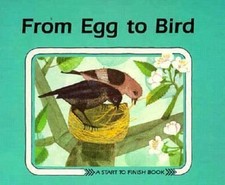 From Egg to Bird (Start to