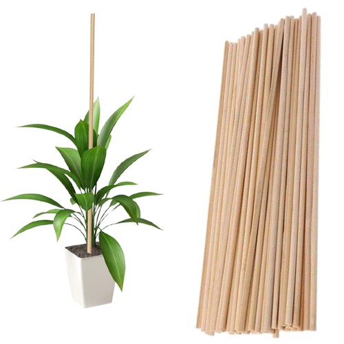 Pflanzen support sticks bambus - pflanzen,