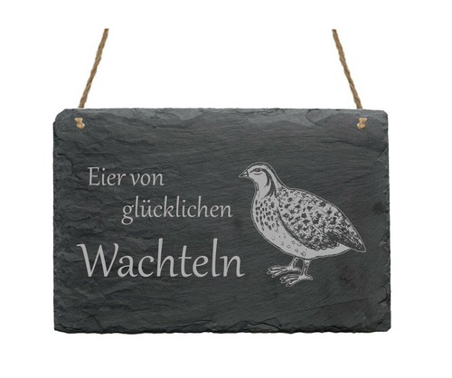 Schild tafel eier - schild,