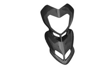 Carbon Frontverkleidung für