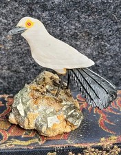 Edelsteinvogel auf
